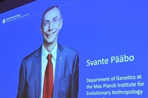 Swedish geneticist Svante Paabo won the 2022 Nobel Prize in Physiology or Medicine for his discoveries "concerning the genomes of extinct hominins and human evolution," the Nobel committee announced in Stockholm on Monday.