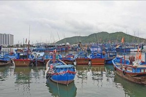Fishing vessels in Khanh Hoa province (Photo: VNA)