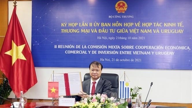 Deputy Minister of Industry and Trade Do Thang Hai at the virtual event (Photo: VNA)