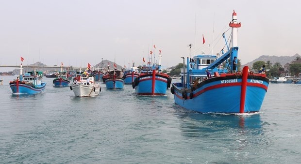 Vietnamese fishing vessels. (Photo: VNA)