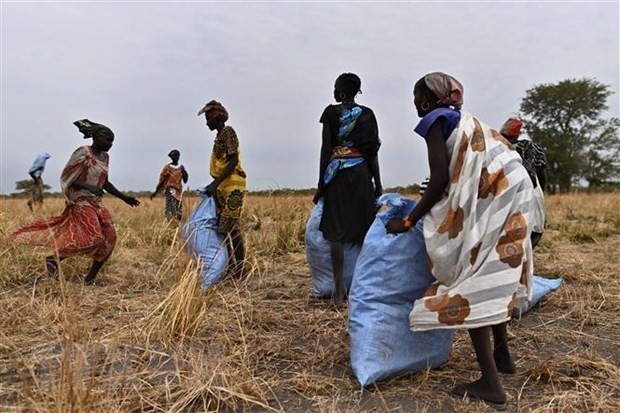 Residents in Ayod, Nam Sudan. (Photo: AFP/VNA)