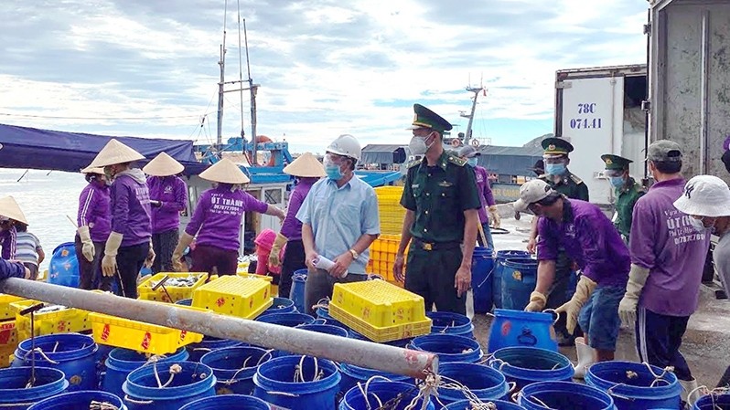 A fishing port in Phu Yen Province (Photo: Trinh Ke)