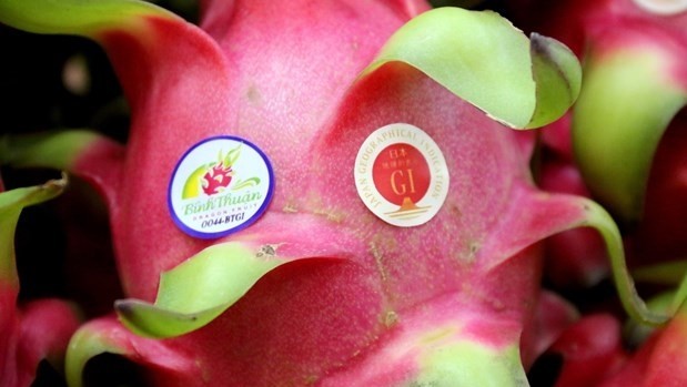 The GI label (right) of the Binh Thuan dragon fruit in Japan. (Photo: VNA)
