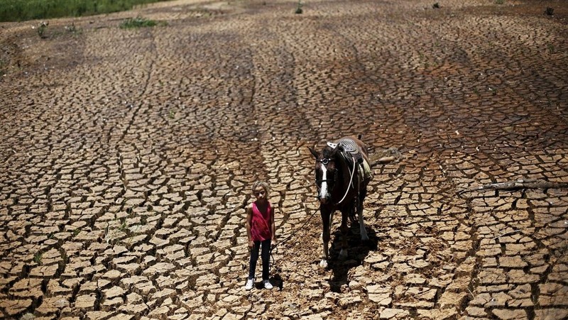 Severe drought in Brazil (Photo: Reuters)