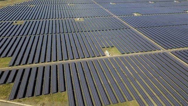 Panels of the Sao Mai solar power plant in An Giang province (Photo: VNA)