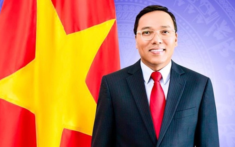 Vietnamese Ambassador to the UK Nguyen Hoang Long (Photo: baoquocte.vn)
