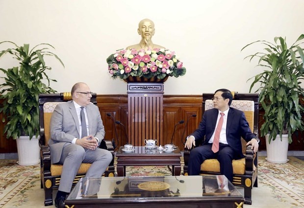 Foreign Minister Bui Thanh Son (R) receives Danish Ambassador to Vietnam Kim Højlund Christensen (Photo: VNA)