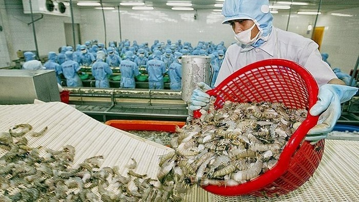 Shrimp exports to Canada grew strongly.