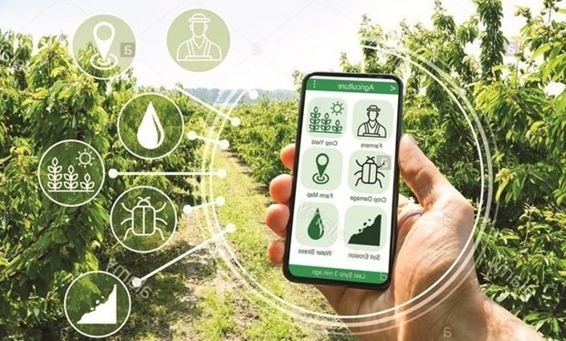 Digital transformation will be promoted in building new-style rural areas, towards smart rural development, for the 2021 – 2025 period (Photo: Ministry of Agriculture and Rural Development) 
