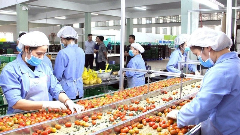 An agricultural firm in Lam Dong Province. (Photo: NDO)