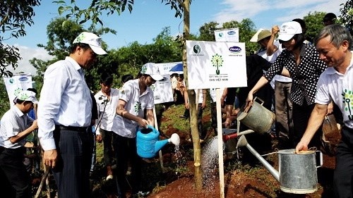Delegates planting trees at the event