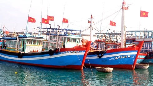 Da Nang city, Quang Nam, Binh Dinh and Khanh Hoa provinces have notified 22,651 ships about the storm