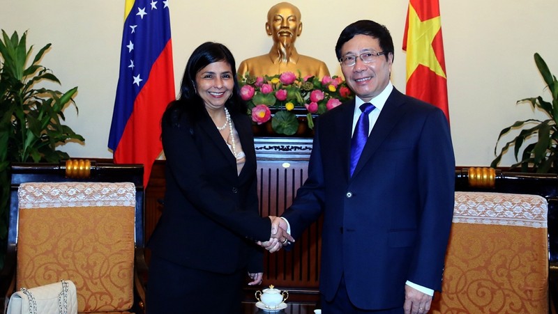 Deputy Prime Minister and Foreign Minister Pham Binh Minh receives Venezuelan Foreign Minister Delcy Rodriguez in Hanoi on August 31. (Credit: VGP)