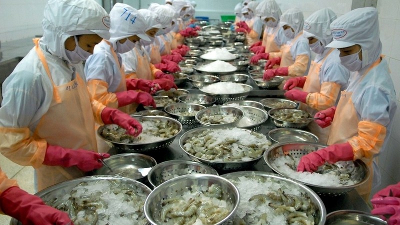 White-leg shrimp remained the chief export item of Vietnam to the RoK in 2015. (Credit: VNA)