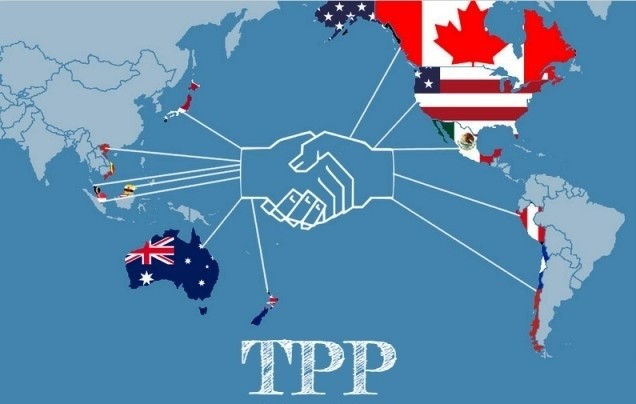 The Vietnamese government issued resolution on TPP signing.