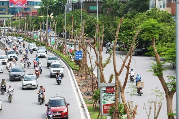 Hanoi is set to plant 200,000 new trees each year to reach its ambitious target to become the city of a million trees by 2020. (Photo: vnexpress.net)