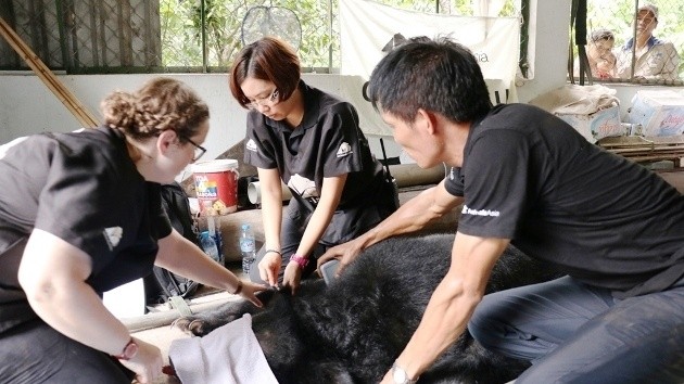 Nine captive bears rescued in Binh Duong
