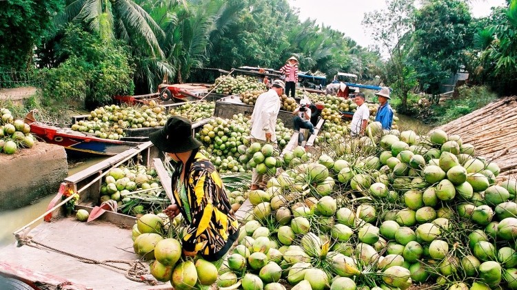 Ben Tre expects to attract investment in areas such as ecological tourism