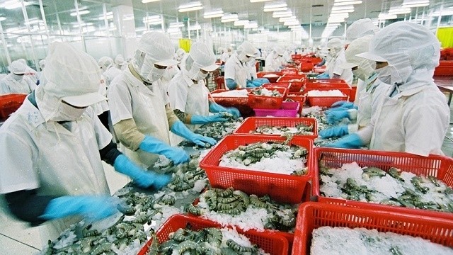 Chinese market promising for Vietnam’s shrimps as exports surge 30%