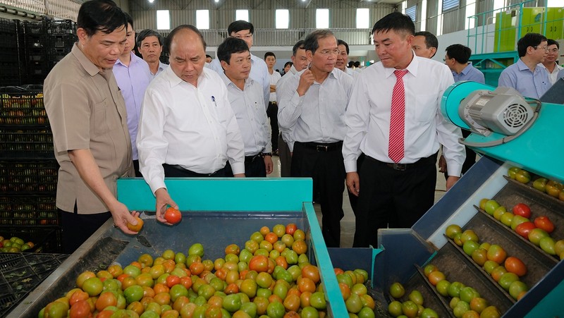 Prime Minister Nguyen Xuan Phuc visits the Phong Thuy farm produce trade and production company in Lien Nghia township, Duc Trong district, the Central Highlands province of Lam Dong. (Photo: VGP)