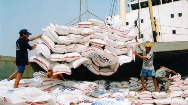 Vinafood 2 will export two million tonnes of rice to the Philippines (illustrative image)