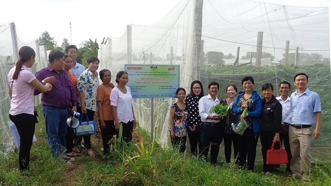 Since early 2017, Tra Vinh provincial authorities have worked together with ActionAid Vietnam to implement models to help locals grow organic vegetables 