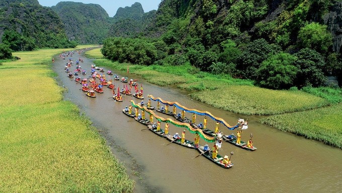  Visitors joining a parade of dragon boats can admire the awe-stunning beauty of yellow ripened rice fields along the banks of Ngo Dong river (Photo: vnexpress.net)