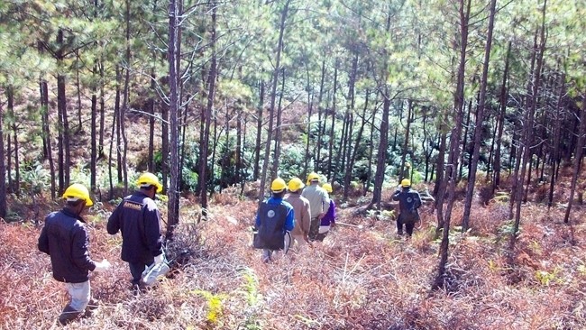 Forest patrol in Lam Dong province.