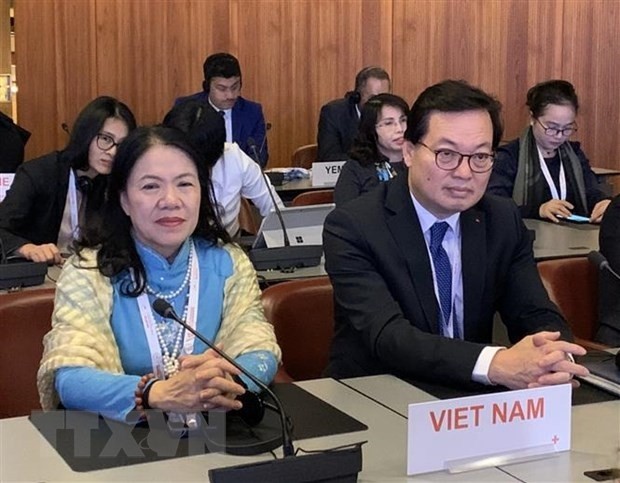 Ambassador Duong Chi Dung (R), head of Vietnam's permanent mission in Geneva, and VRC Chairwoman Nguyen Thi Xuan Thu attend the 33rd International Conference of the Red Cross and Red Crescent. (Photo: VNA) 