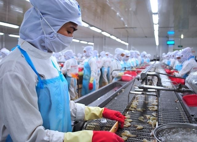 Processing plants increasing the purchasing prices of shrimp to keep a reserve for export.