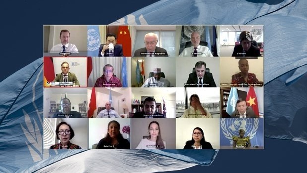 An online meeting of the UN Security Council.