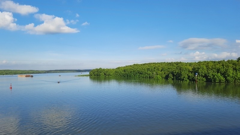 A corner of the Can Gio Mangrove Biosphere Reserve 