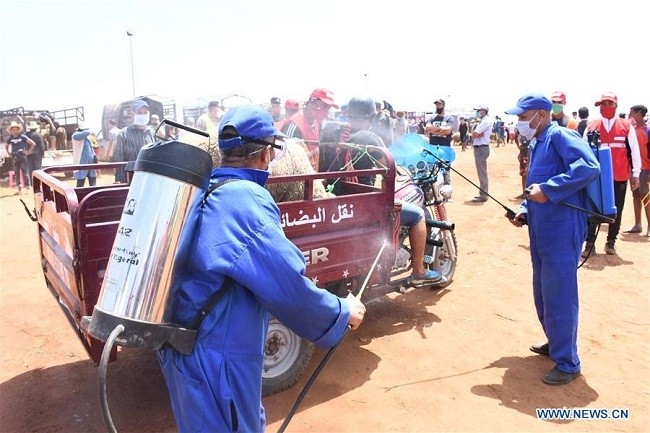Health workers disinfect a livestock market in Rabat, Morocco, on July 25, 2020. Morocco warned on Saturday that anyone who refuses to wear a mask in public could face a maximum fine of US$140 or up to three months in prison. (Photo: Xinhua)