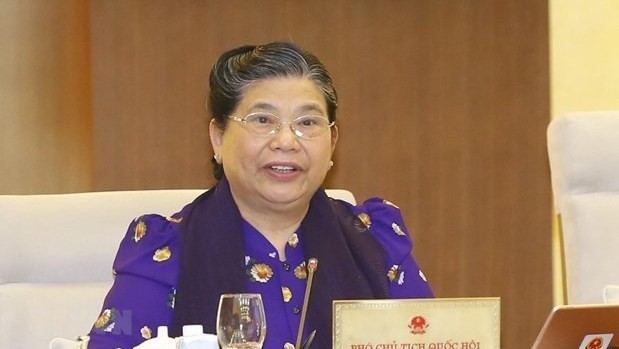 NA Vice Chairwoman Tong Thi Phong speaks at the session (Photo: VNA)