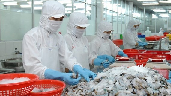 Vietnamese seafood exports to the EU and UK reached US$263 million in August and September, up 17.1% over the same period last year. (Illustrative image)
