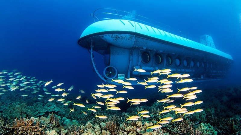 The submarine tour will offer visitors a breath-taking panoramic view of the undersea world.
