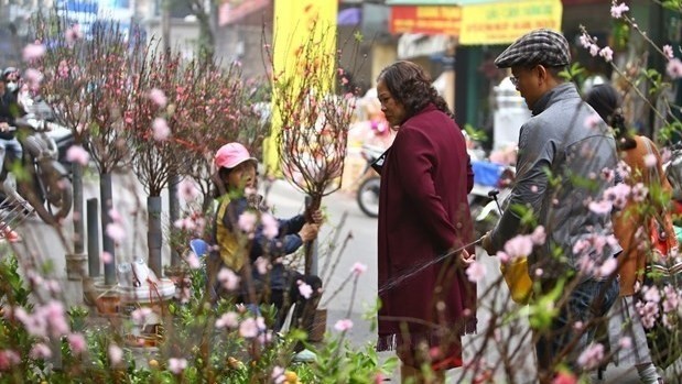 Peach blossoms, a symbol of Tet, are sold on a street in Hanoi (Photo: VNA)