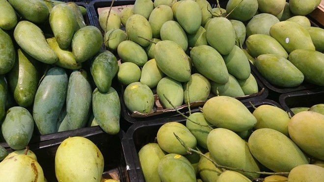 Vietnam is world’s 13th largest mango producer