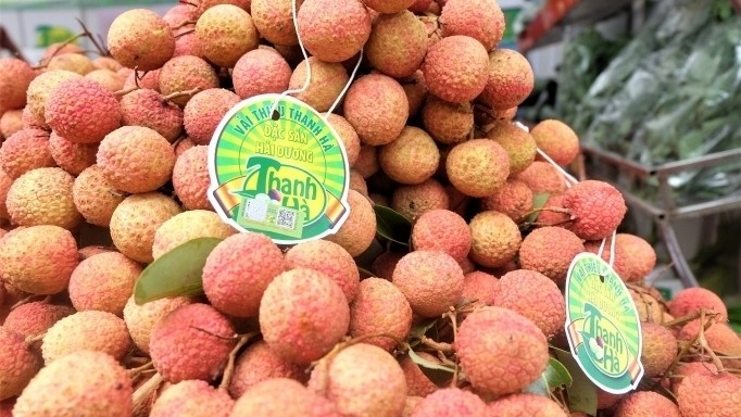 Ameii Vietnam is expected to ship 20 tonnes of fresh lychee to the Thai market each week. (Illustrative image)